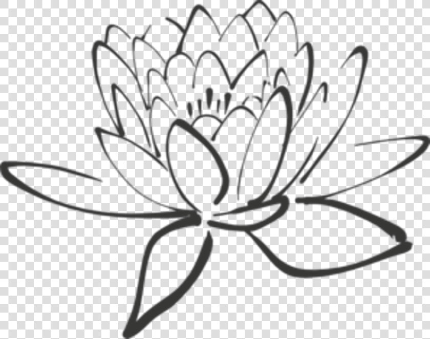 Drawing Chinese Lotus Flower   Black Lotus Clip Art  HD Png DownloadTransparent PNG