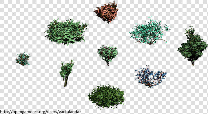 Hjm Bushes 12 Alpha   Illustration  HD Png DownloadTransparent PNG