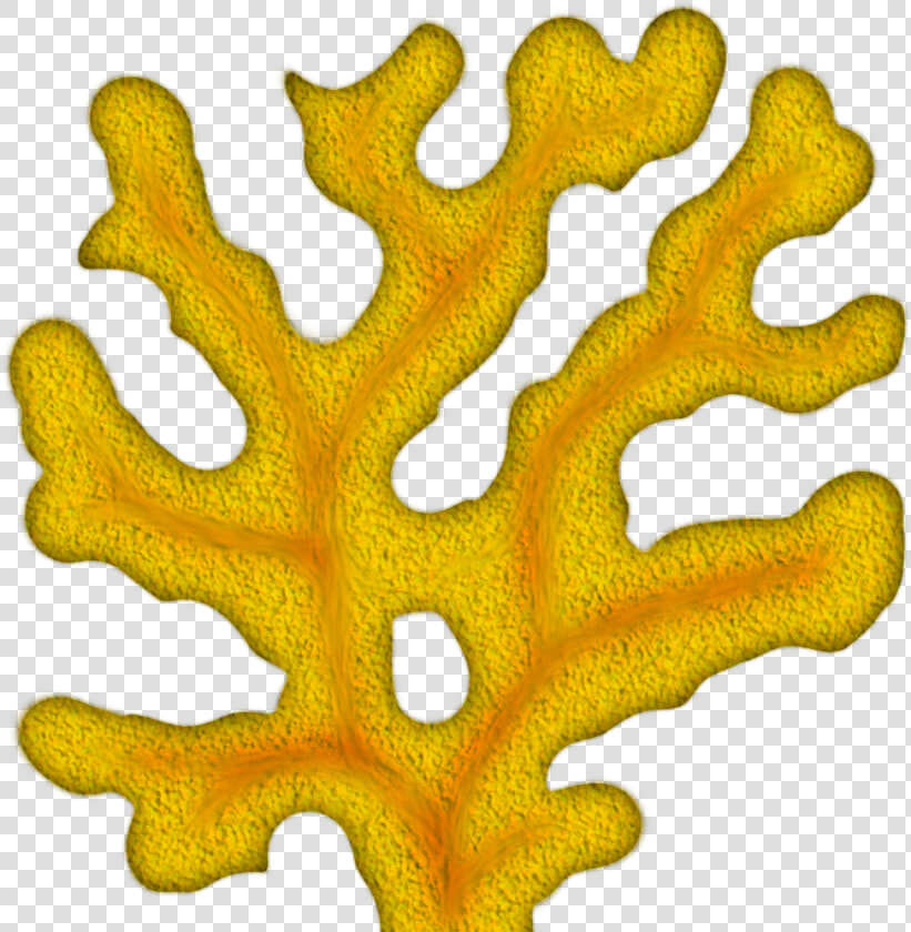 Coral Clipart Png   Png Coral Clipart  Transparent PngTransparent PNG