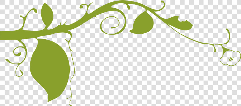 Ornamental Plant Clip Arts   Tomato Vine Clip Art  HD Png DownloadTransparent PNG