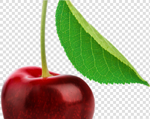 Cherry Png Transparent Images   Single Cherry Fruits  Png DownloadTransparent PNG