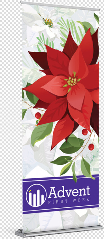 Tap To Expand   Poinsettia  HD Png DownloadTransparent PNG