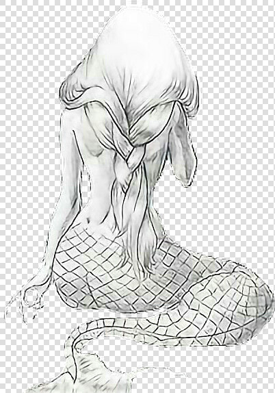   eressirena  sirena  mermaid  dibujo  lapiz  comic   Dibujo De Sirenas A Lapiz  HD Png DownloadTransparent PNG