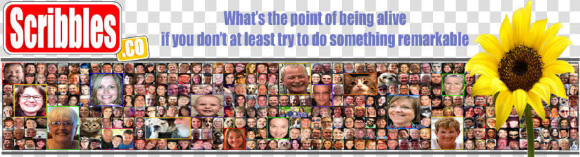 Bernie Says Think Before You Drive  HD Png DownloadTransparent PNG