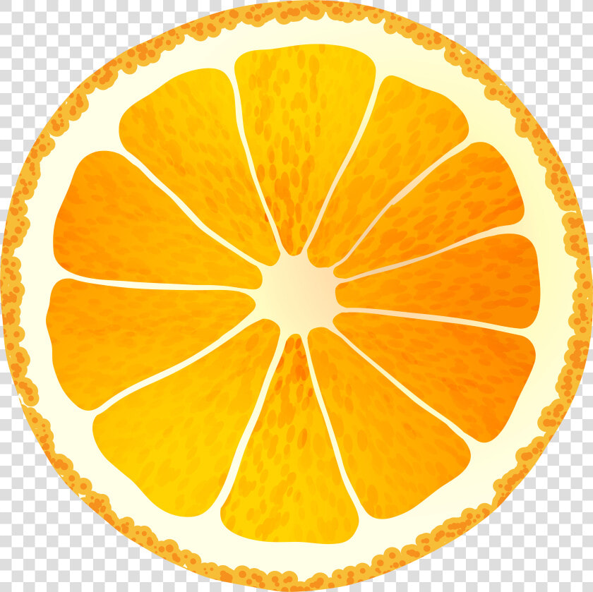 Orange Slice Png   High Resolution Orange Slice  Transparent PngTransparent PNG