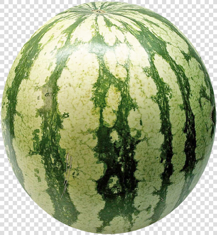 Transparent Watermelon Vector Png   Watermelon Png  Png DownloadTransparent PNG