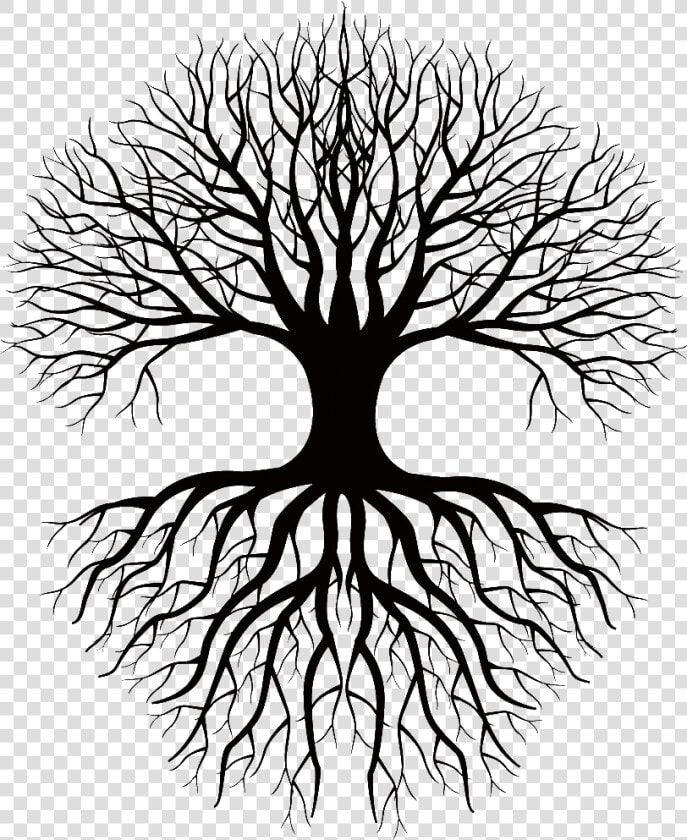 Coloring Book Drawing Root Tree Clip Art   Tree And Roots Silhouette Png  Transparent PngTransparent PNG