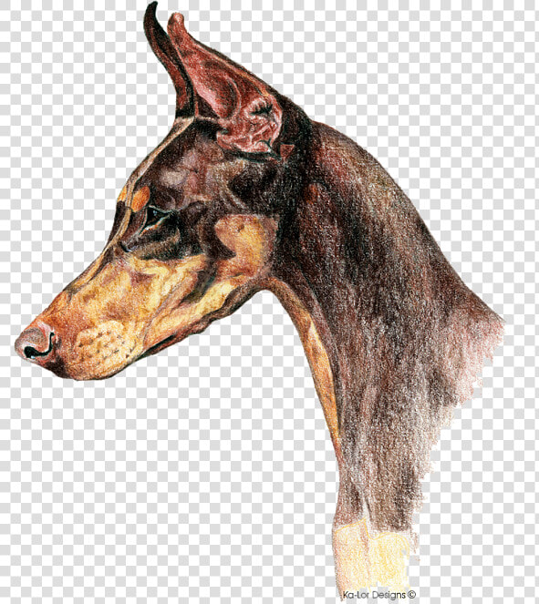 Art Tote Bag Featuring The Drawing Doberman Pinscher   Realistic Doberman Pinscher Drawings  HD Png DownloadTransparent PNG