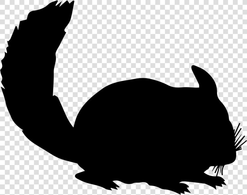 Chinchilla Silhouette Rodent Rex Rabbit   Chinchilla Silhouette  HD Png DownloadTransparent PNG