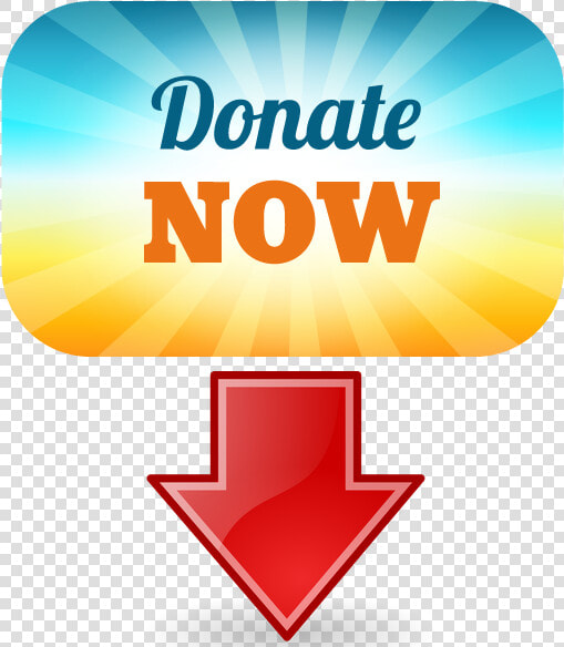 Donate Now   Lobster Font  HD Png DownloadTransparent PNG