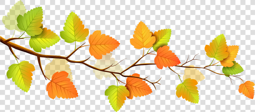 Fall Image Clip Art   Transparent Background Fall Leaves Clip Art  HD Png DownloadTransparent PNG