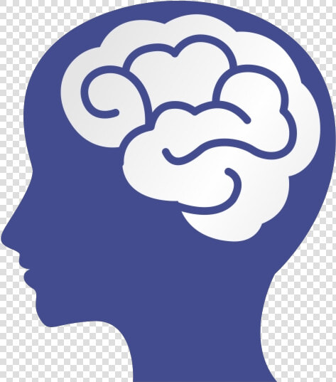 Brain Neuroscience Is The Science Of And Looks Mental   Mental Health Transparent Background  HD Png DownloadTransparent PNG