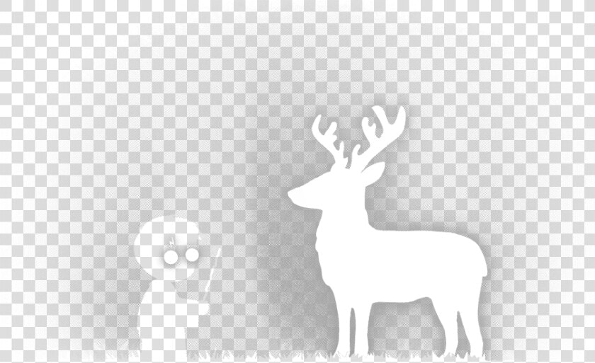 Roe Deer  HD Png DownloadTransparent PNG