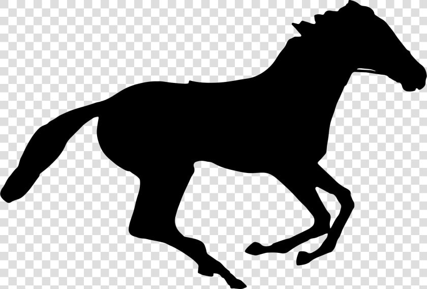 Jockey Silhouette Minus Jockey Clip Free   Transparent Horse Vector  HD Png DownloadTransparent PNG