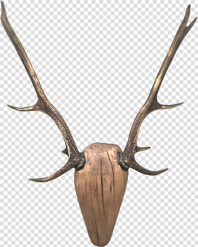 Deer Antlers Transparent   Antlers Transparent Background  HD Png DownloadTransparent PNG