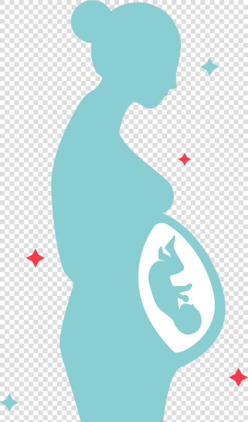 Pregnancy Childbirth Mother Pale   Espina Bifida Causas  HD Png DownloadTransparent PNG