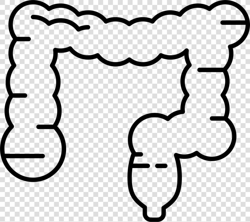 Large Intestine  HD Png DownloadTransparent PNG