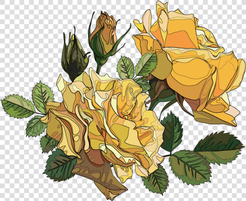  rose  roses  yellow  yellowrose  yellowroses  orange   Yellow Roses Png  Transparent PngTransparent PNG