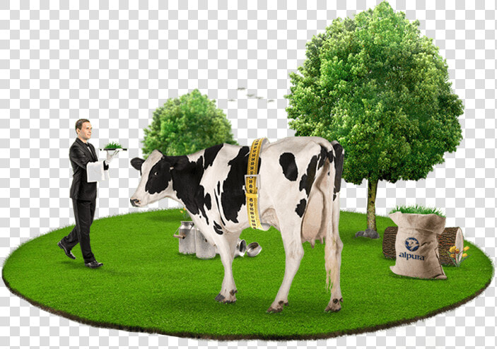 Alpura Nuestras Vacas Bienstar   Dairy Cow  HD Png DownloadTransparent PNG