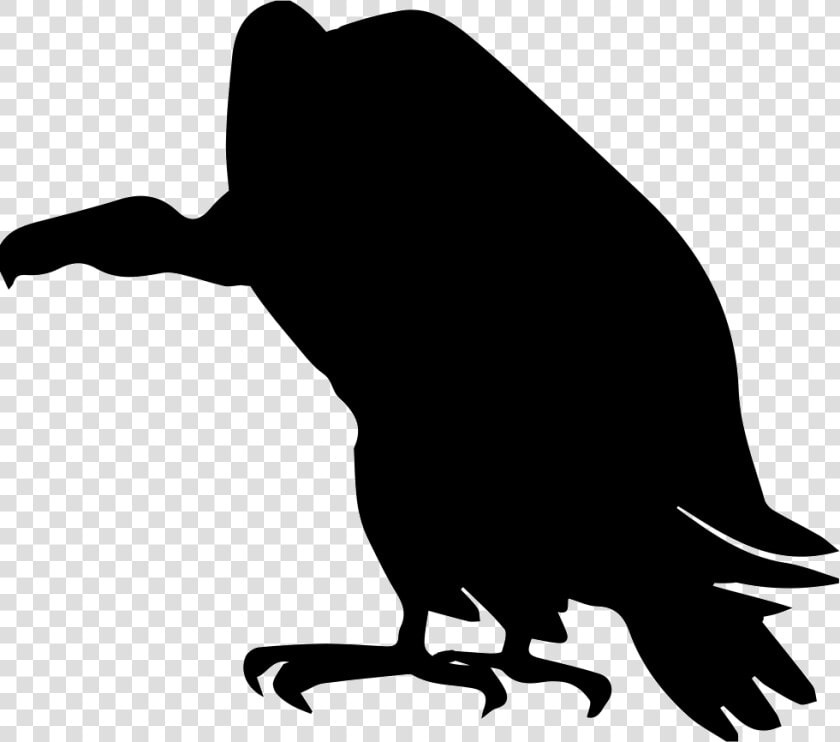 Vulture Bird Shape   Vulture Icon  HD Png DownloadTransparent PNG