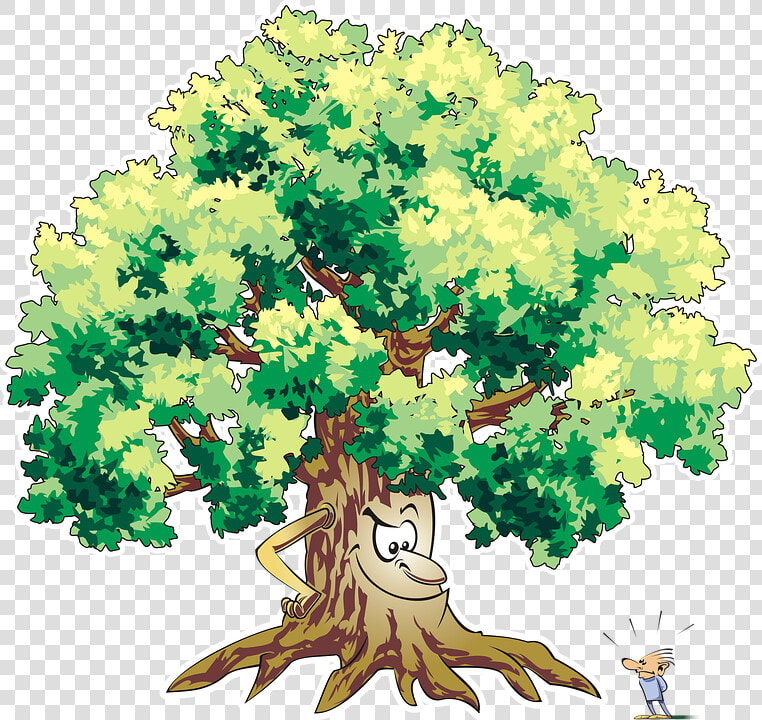 Tree  Trees  Forest  Vegetation  Adobe  Adobe Photoshop   Tree  HD Png DownloadTransparent PNG