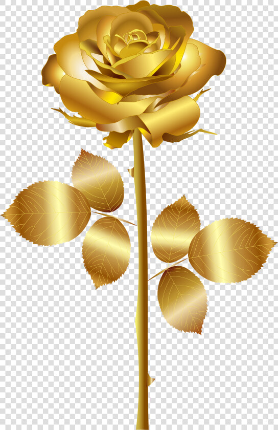 Golden Rose Png High quality Image   Gold Rose No Background  Transparent PngTransparent PNG