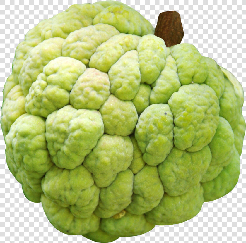 Custard Apple   Custard Apple Variety In India  HD Png DownloadTransparent PNG