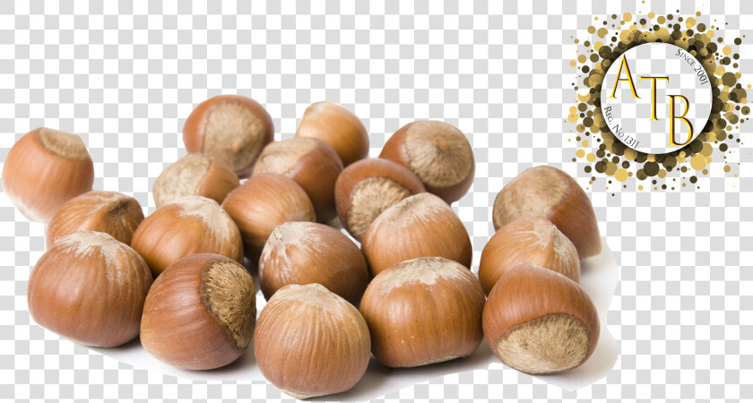 Hazelnut Png  Transparent PngTransparent PNG