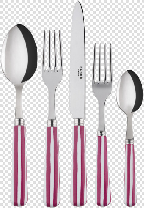 Sabre Paris White Stripe Fuchsia 5 Piece Place Setting  HD Png DownloadTransparent PNG