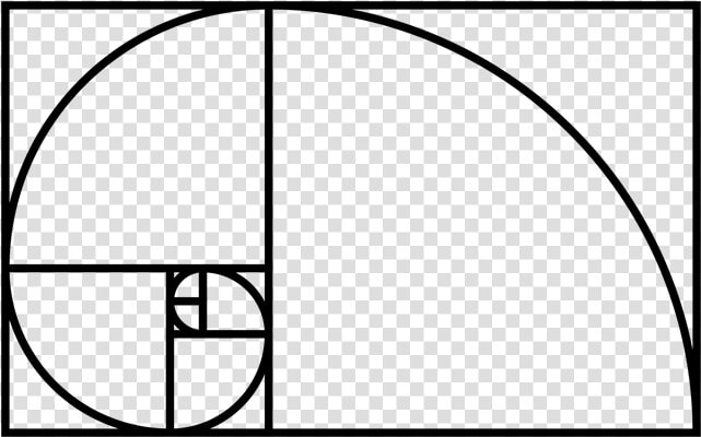 Fibonacci Sequence In Nature  HD Png DownloadTransparent PNG