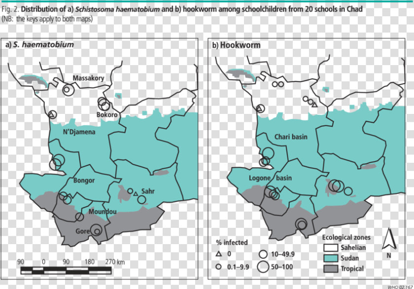 Geographical Distribution Of Trichuris Trichiura  HD Png DownloadTransparent PNG