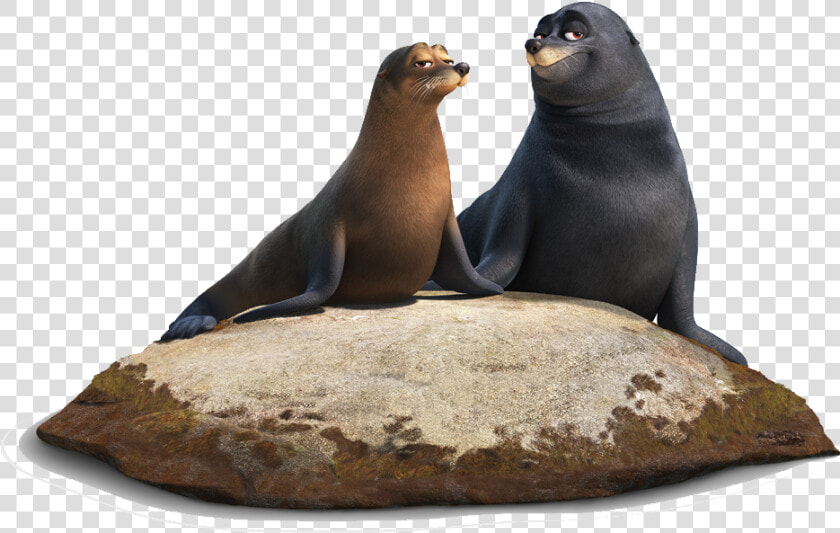 Transparent Idris Elba Png   Finding Dory Seal Character  Png DownloadTransparent PNG