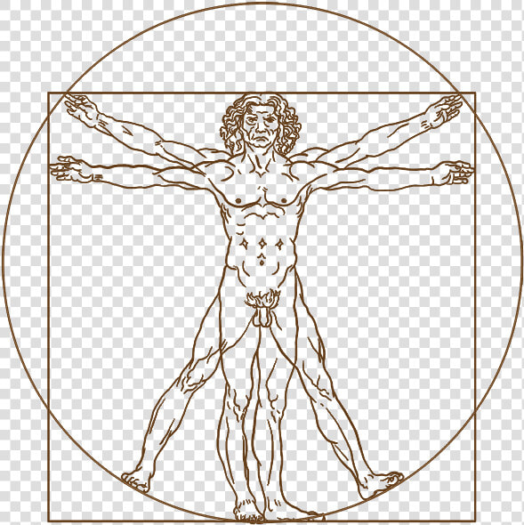 Vitruvian Man White Background  HD Png DownloadTransparent PNG