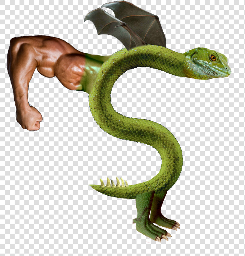 Transparent Trogdor Png   Trogdor Hd  Png DownloadTransparent PNG