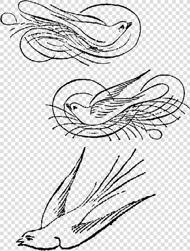 Birds Calligraphy Artwork Drawings Illustrations Downloads   Line Art  HD Png DownloadTransparent PNG