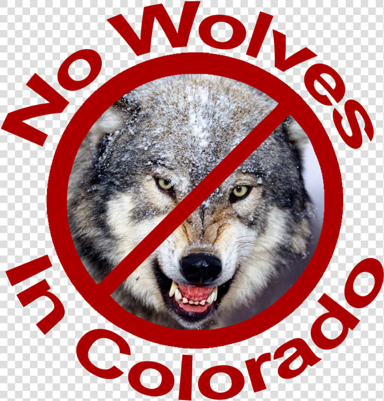 No Wolves In Colorado Red Lettering   Dog Yawns  HD Png DownloadTransparent PNG