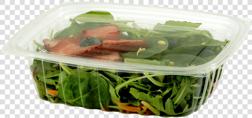 World Centric Clear  Rectangular Deli   Envases Biodegradables Para Ensaladas  HD Png DownloadTransparent PNG