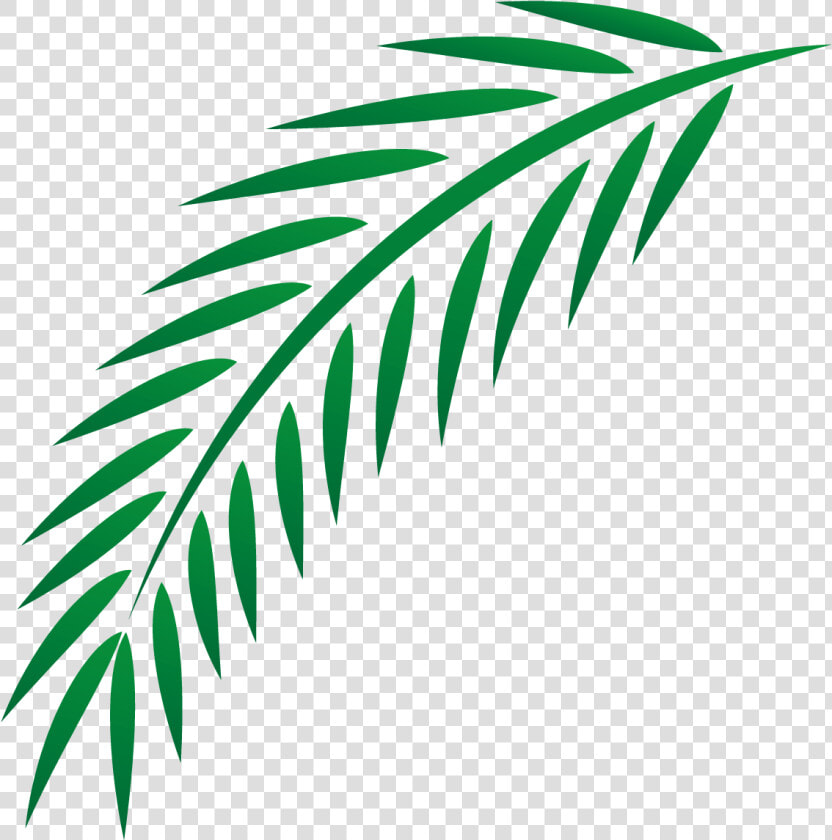 Euclidean Easter Leaves Transprent   Palm Branch Leaf Clip Art  HD Png DownloadTransparent PNG