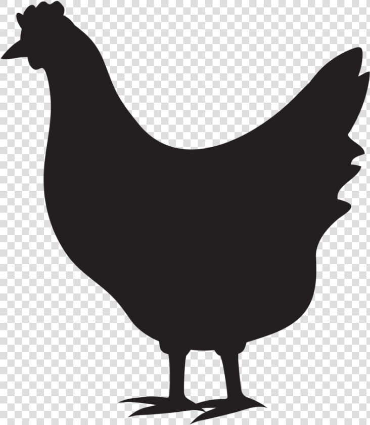 Pipeline Icons Chicken  HD Png DownloadTransparent PNG