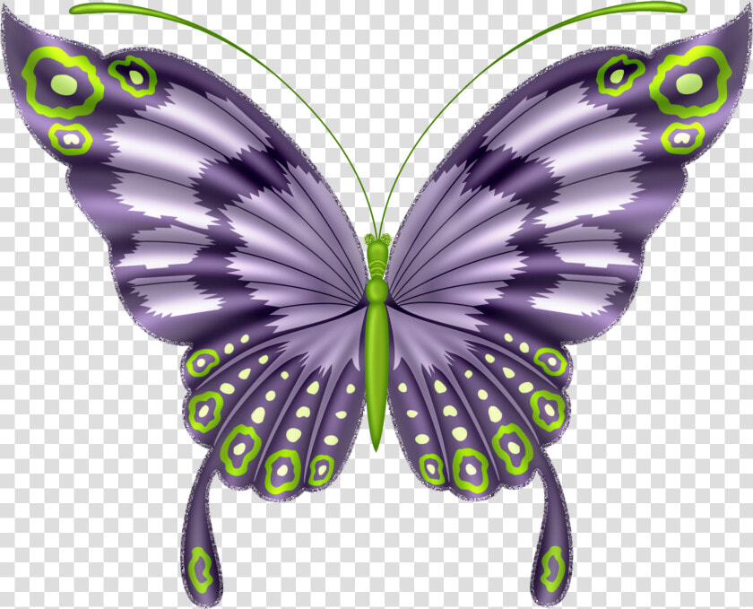 Dragonfly Clipart Beautiful Dragonfly   Red Butterfly Image Hd Png  Transparent PngTransparent PNG