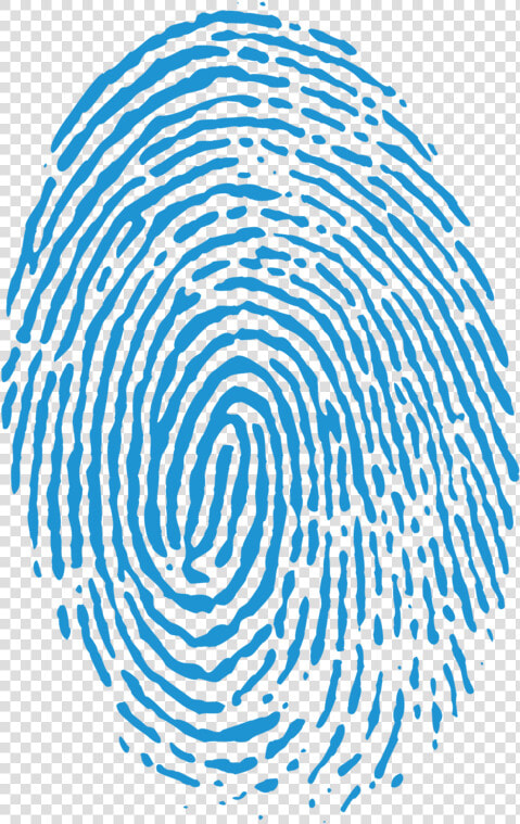 Fingerprint Background Transparent   Fingerprint Png Transparent  Png DownloadTransparent PNG