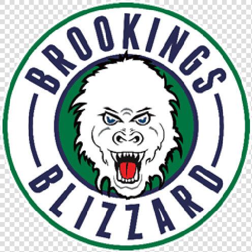 Brookings Blizzard Logo   St Cloud Blizzard Hockey  HD Png DownloadTransparent PNG