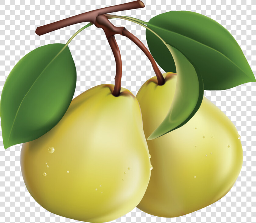 Pear Png Image   Pears Clipart Png  Transparent PngTransparent PNG