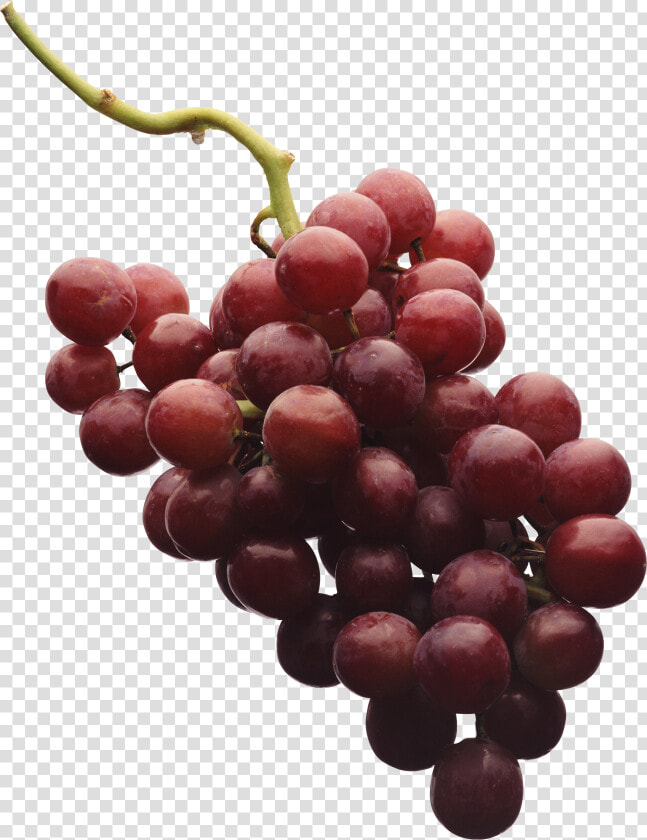 Grape Png Image   Png Grape Vine Red Grape  Transparent PngTransparent PNG