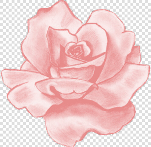 Pink Rose Clipart Png Tumblr   Pink Flower Aesthetic Stickers  Transparent PngTransparent PNG