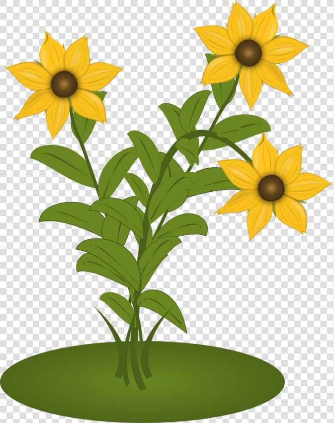 Black Eyed Susans   Clip Art  HD Png DownloadTransparent PNG