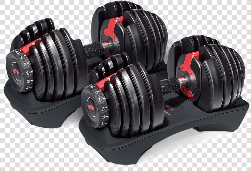 Bowflex Dumbbells  HD Png DownloadTransparent PNG