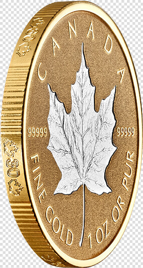 Maple Leaf Png Gold Oz Pure Coin   Coin  Transparent PngTransparent PNG