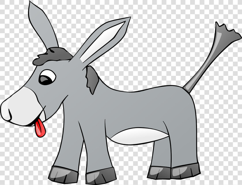 Donkey  Animal  Farm  Gray  Comic  Tongue  Cartoon   Animales Con La Letra B  HD Png DownloadTransparent PNG