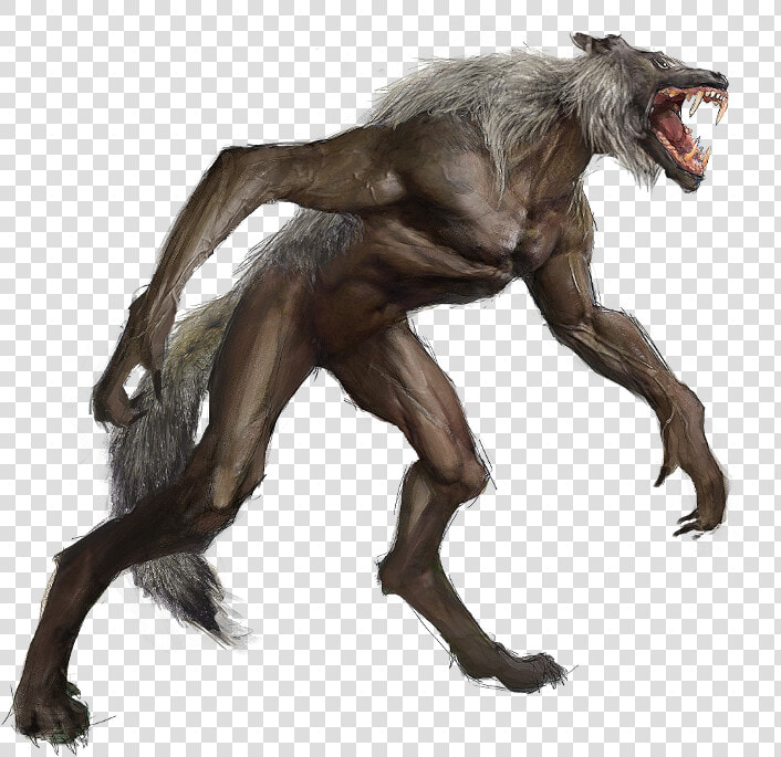 Werewolf Png Photo   Illustration  Transparent PngTransparent PNG